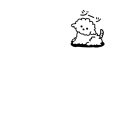 Whitedog_001