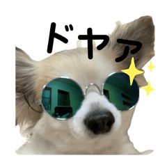 myuntaro_20250111114727