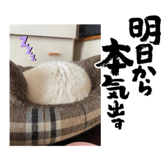 Temi_20250111123404