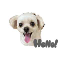 paaaaaan_20250111165439