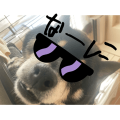 Yuto_20250111131142