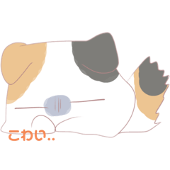 三毛猫茶々丸の日常スタンプ