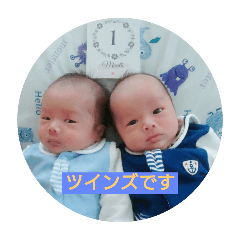 katayama twins_20250111135718