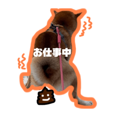 kotetsu.uta.sora.stampw