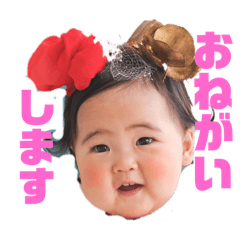MIKI_20250111182642