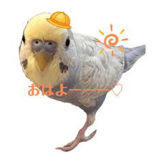 mii_20250111161110