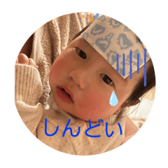 yuki_20250111161227