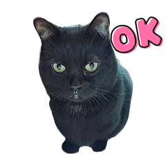 Kulo_20250112101902 – LINE stickers | LINE STORE