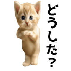 Cream-colored dancing cat