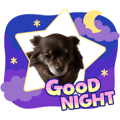 Leeya_20250112161539