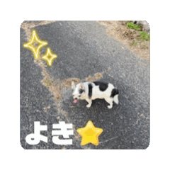yayoi_20250110221118