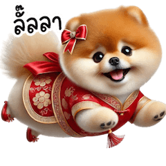 Chubby Pomeranian Chinese New Year