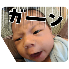 NATSUKI_20250112185350