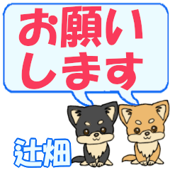 Tsujibata's letters Chihuahua2