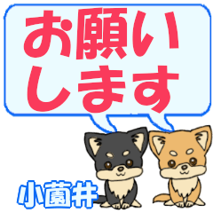 Kosonoi's letters Chihuahua2