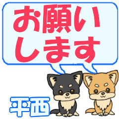 Hiranishi's letters Chihuahua2
