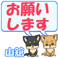 Yamadate's letters Chihuahua2