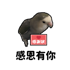 鳥日子 3 .(-^◇^-)