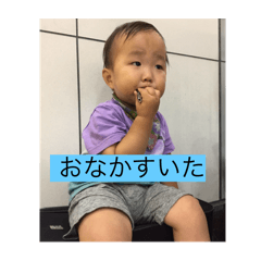 taro_20250112205152