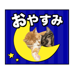 Roitoyuno's beloved cat stamp1