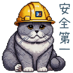 construction site cat