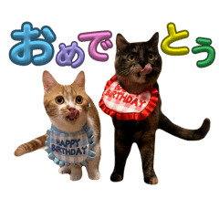 MIKO_20250112141708