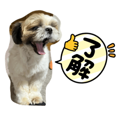 Roko_20250112115914