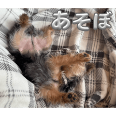 Nanamin_20250112115838