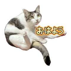 Akira_20250112125130