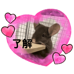 mimi_20250112214538