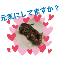akiko_20250112214030