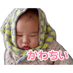 nono_20250112214135