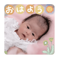 chihiro_20250112130908