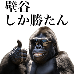 [Kabeya] Funny Gorilla stamp to send