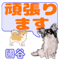 Kunidani's letters Chihuahua