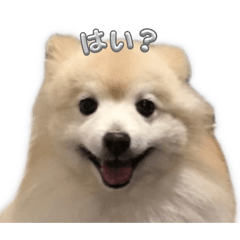 Min_20250112142440