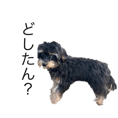 MUFASA_20250112144210