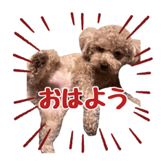 petit_20250112115342