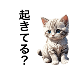 Japanese Cat's feelings