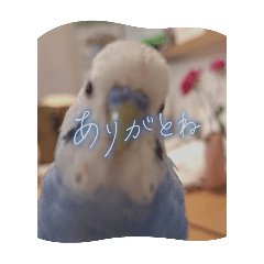 rikurin_20250112200452