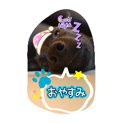 mii_20250112224223