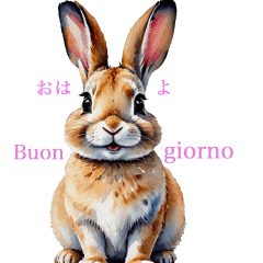 Everyday Italian Rabbit