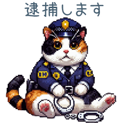 chubby Police cat