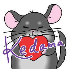 Cheerful chinchilla Kedama