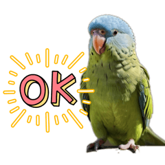 LOVE Parakeet Sticker