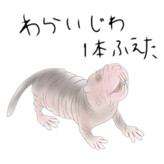 hemhemjp_20250112175649