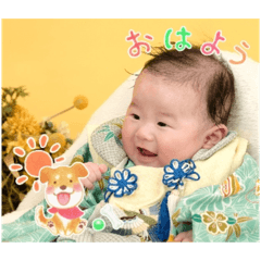 tofu_20250112223543