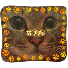 yuko_20250112230743