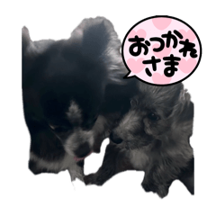 Shin_20250112230343