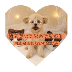 aya_20250112230333